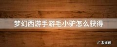 梦幻西游手游毛小驴怎么获得 梦幻西游手游毛小驴