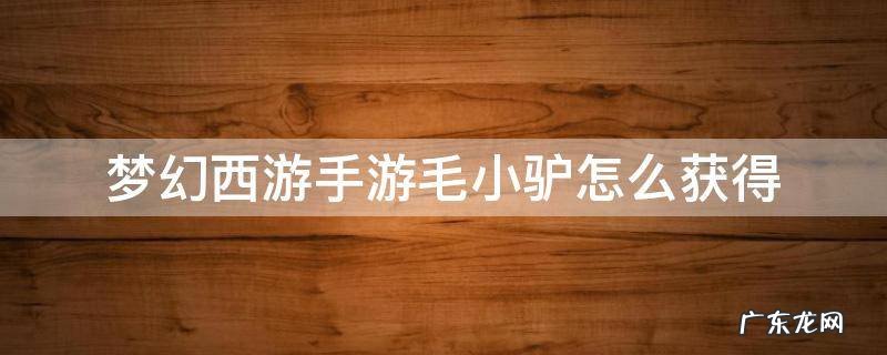 梦幻西游手游毛小驴怎么获得 梦幻西游手游毛小驴