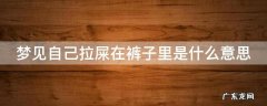 梦见自己拉屎在裤子里是什么意思 梦见自己拉屎是什么预兆