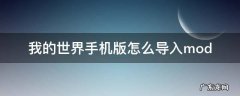 我的世界手机版怎么导入mod 我的世界手机版怎么导入地图