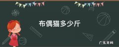 布偶猫多少斤 成年布偶猫多少斤