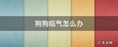 狗狗疝气怎么办用什么药 狗狗疝气怎么办