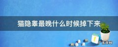 猫睾丸最晚什么时候掉下来 猫隐睾最晚什么时候掉下来