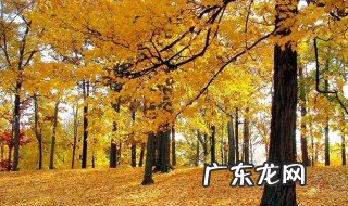金风送爽是属于哪个季节 金风送爽属于哪个季节的词语