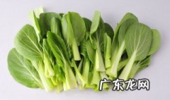 鸡毛菜是什么季节的蔬菜 鸡毛菜什么季节吃的