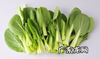 鸡毛菜是什么季节的蔬菜 鸡毛菜什么季节吃的