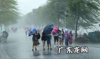 狂风暴雨描写的是哪个季节的词语 狂风暴雨描写的是哪个季节的景象