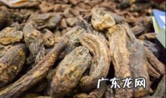 肉苁蓉什么时候吃最好什么季节 肉苁蓉什么时间吃好