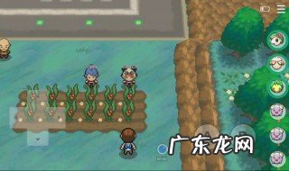 pokemmo树果大全 pokemmo树果种子怎么得