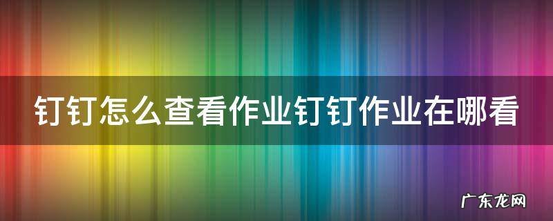 钉钉怎么查看作业钉钉作业在哪看 钉钉怎样查看作业完成情况