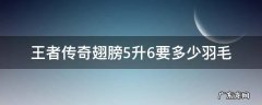 王者传奇五级升六级翅膀多少羽毛 王者传奇翅膀5升6要多少羽毛