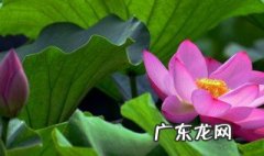 六月份七月份是什么季节 六月份和七月