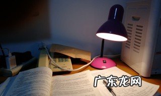 对食物有消化作用的器官 对食物消化最为重要的是