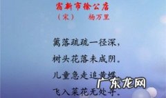 宿新市徐公店这是一首描写什么季节的诗 赶紧看看吧