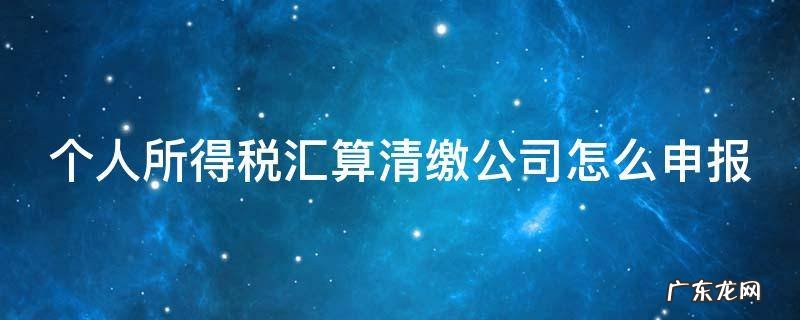 个人所得税汇算清缴公司怎么申报 个人所得税汇算清缴公司怎么申报的