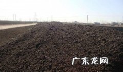 鸡粪怎么发酵 鸡粪怎样发酵才能用