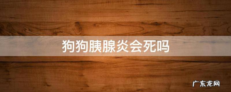 狗狗胰腺炎会死吗 狗狗慢性胰腺炎会死吗