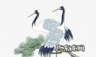 仙鹤和松树代表什么意思 仙鹤和松树代表什么