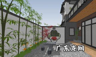 竹子能对着大门种吗 竹子可以对着大门吗