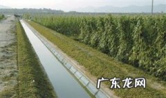 水渠对农业发展的作用 水渠对农业发展的作用和意义