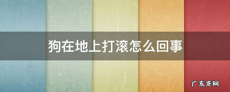狗在地上打滚怎么回事 狗狗在地上打滚是怎么回事