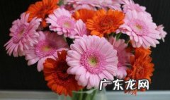 贺语简短 经典的贺语语句大全