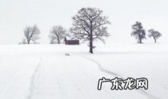 赞美雪的优美句子短句 赞美雪的优美句子