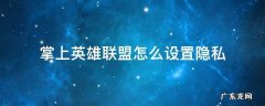 掌上英雄联盟怎么设置隐私 掌上英雄联盟隐私设置失败