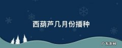 西葫芦的播种方法和季节 西葫芦几月份播种
