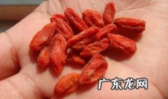 鲜枸杞冻干怎么吃 鲜枸杞冻干怎么吃最好