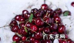 车厘子树先发芽还会开花吗视频 车厘子树先发芽还会开花吗