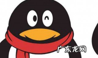 qq被禁言怎么强制聊天 qq被禁言怎么强制聊天手机