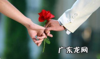 玫瑰花的花语 玫瑰花的花语以及朵数