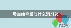 母猫绝育后吃什么消炎药 母猫绝育后要吃什么药