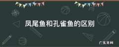 凤尾鱼和孔雀鱼有什么区别 凤尾鱼和孔雀鱼的区别