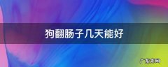 狗翻肠子几天能好 狗狗多少天翻肠子