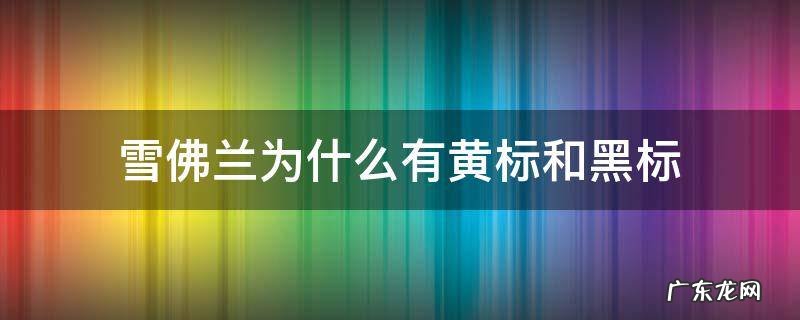 雪佛兰为什么有黄标和黑标 雪佛兰红标和黑标