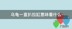 乌龟一直扒拉缸意味着什么 乌龟为什么一直扒缸
