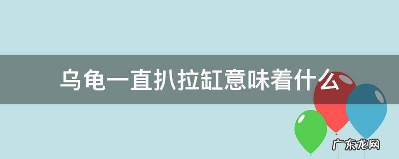 乌龟一直扒拉缸意味着什么 乌龟为什么一直扒缸