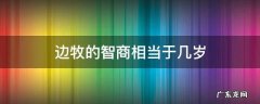 边牧的智商相当于几岁的人 边牧的智商相当于几岁