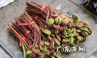 蕨菜可不可以多吃 蕨菜可不可以多吃一点