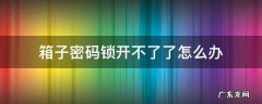 箱子密码锁开不了了怎么办 箱子密码锁打不开怎么办