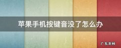 苹果手机按键音没了是怎么回事 苹果手机按键音没了怎么办