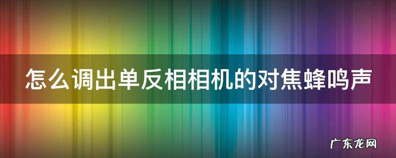 怎么调出单反相相机的对焦蜂鸣声 怎么调出单反相相机的对焦蜂鸣声音