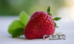 草莓叶子可以浇水吗 草莓叶子可以浇水吗有毒吗