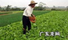 复合肥什么季节施最好 复合肥秋施好吗