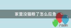 家里没猫粮了怎么应急 没有猫粮了怎么应急