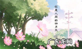 人间四月天诗歌原文 林徽因人间四月天诗歌原文
