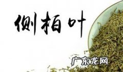 侧柏树叶是什么样子的图片 侧柏树叶是什么样子的