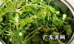 鱼香菜的营养价值和功效 鱼香菜的营养价值